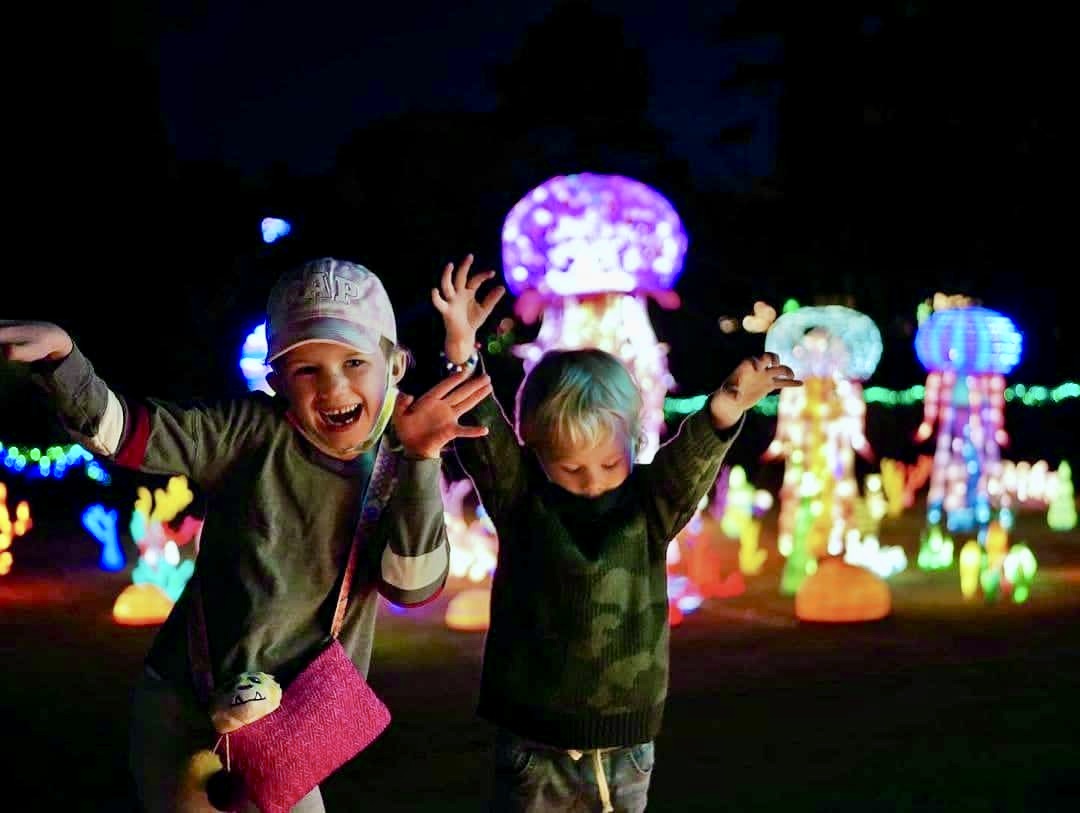 25 festive December events in Birmingham including Glow Wild